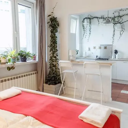 Appartamento Art Studio Polna